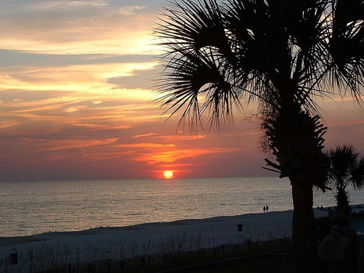 Sunbird 0208w 'surfside Sandcastle' Panama City Beach