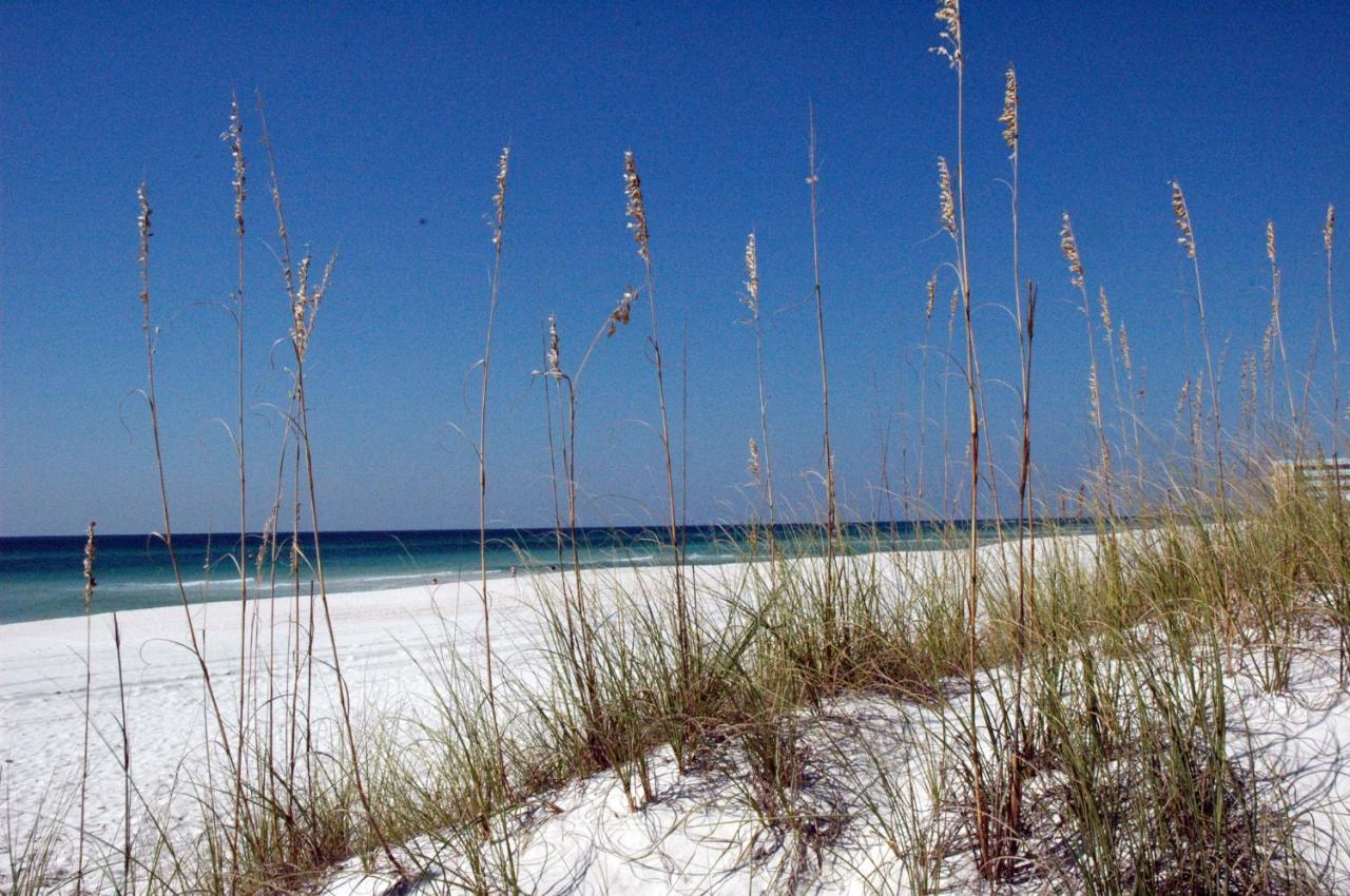 Sunbird 0208w 'surfside Sandcastle' Holiday home Panama City Beach